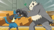 Imagen de Pangoro