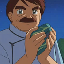 Piedra Lunar Wikidex Fandom