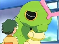 EP419 Caterpie gigante