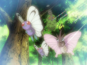 EP568 Butterfree y Venomoth