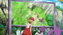 EP881 Crobat y Butterfree