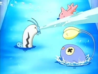 EP387 Barboach, Corsola y Chinchou de Galano
