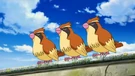 Imagen de Pidgey