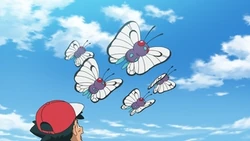 EP1091 cinco Butterfree volando