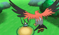 Talonflame preparándose para usar pájaro osado sobre Noivern.