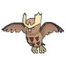 Noctowl