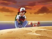 Ash junto a Krabby en estado salvaje.