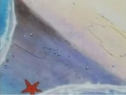 Estrellas de mar que aparecen en la arena