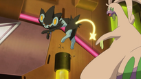 EP871 Luxray VS Goodra (2)