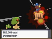 Puño dinámico HGSS.png (12 kB) Breloom usando puño dinámico en Pokémon Oro HeartGold y Pokémon Plata SoulSilver.