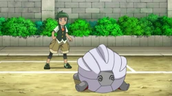 EP909 Shelgon de Sawyer