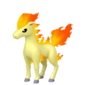 Ponyta