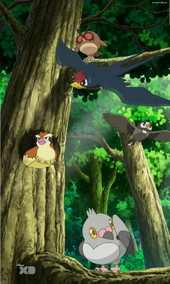 Pokémon pájaros (hasta la ).