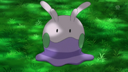 EP859 Goomy de Ash