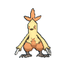 Combusken