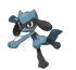 Riolu