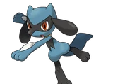Riolu