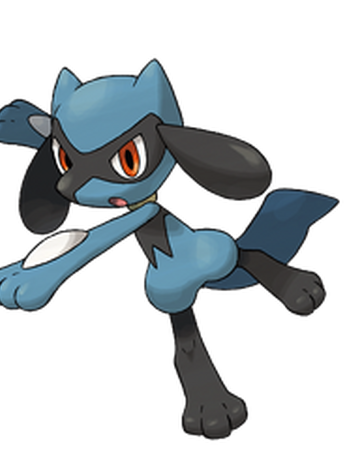 Riolu Wikidex Fandom