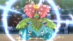 SME04 Venusaur