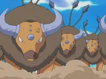 Imagen de Tauros