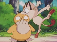 Meowth del Team Rocket usando mordisco sobre el Psyduck de Misty.