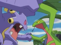 Grovyle vs. Exploud.