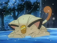 Meowth debilitado.