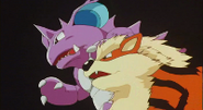 Arcanine junto a Nidoking listos para enfrentarse a Mewtwo.