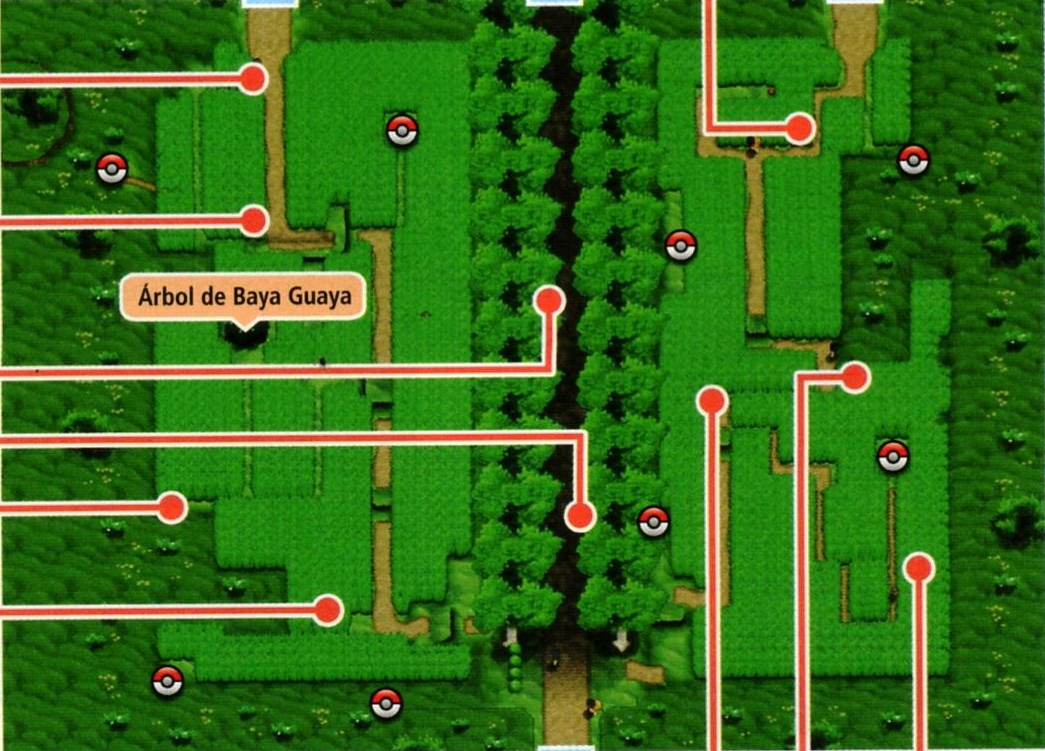 Ruta 6 (Kalos) Pokémon Wiki Fandom