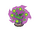 Spiritomb NB.png