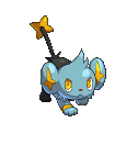 #034 Shinx