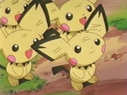 EP181 Pichu (5)