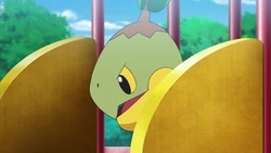EP1147 Turtwig