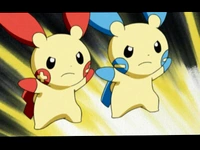 EP362 Plusle y Minun