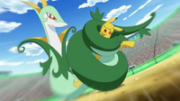 Serperior de Trip usando constricción contra el Pikachu de Ash.