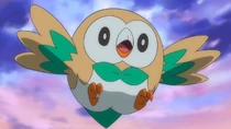 Imagen de Rowlet