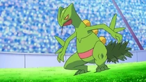 Imagen de Sceptile