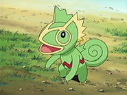 EP433 Kecleon de Ángela