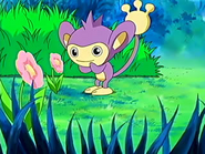 EP462 Aipom de Ash (1)