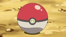 EE14 Poké Ball