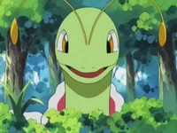 Imagen de Meganium