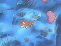EP369 Luvdisc salvajes