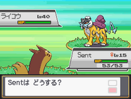 Encuentro con Raikou en Pokémon Oro HeartGold y Plata SoulSilver.