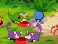 EP010 Caterpie, Oddish y Rattata