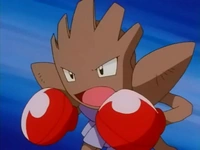 EP235 Hitmonchan (2)