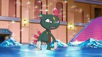 Imagen de Sneasel