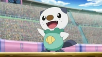 Imagen de Oshawott