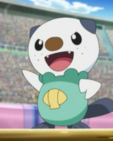 Oshawott De Ash Wikidex Fandom Si ahora flechinder usa ave braba y ataca pikachu usa cola se hierro y greninja esquiva los y usa caratazo en los dos. oshawott de ash wikidex fandom