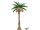 Exeggutor de Alola.png