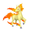 Rapidash